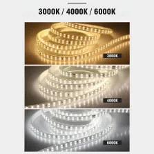 Ruban LED CHANTIER Double rangée sécable 2835 120D en silicone 50M Étanche IP67 6400k