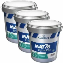 Peinture professionnelle...