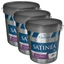 Peinture professionnelle...