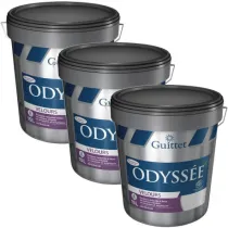 Peinture professionnelle...