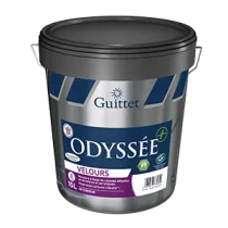 Peinture professionnelle...